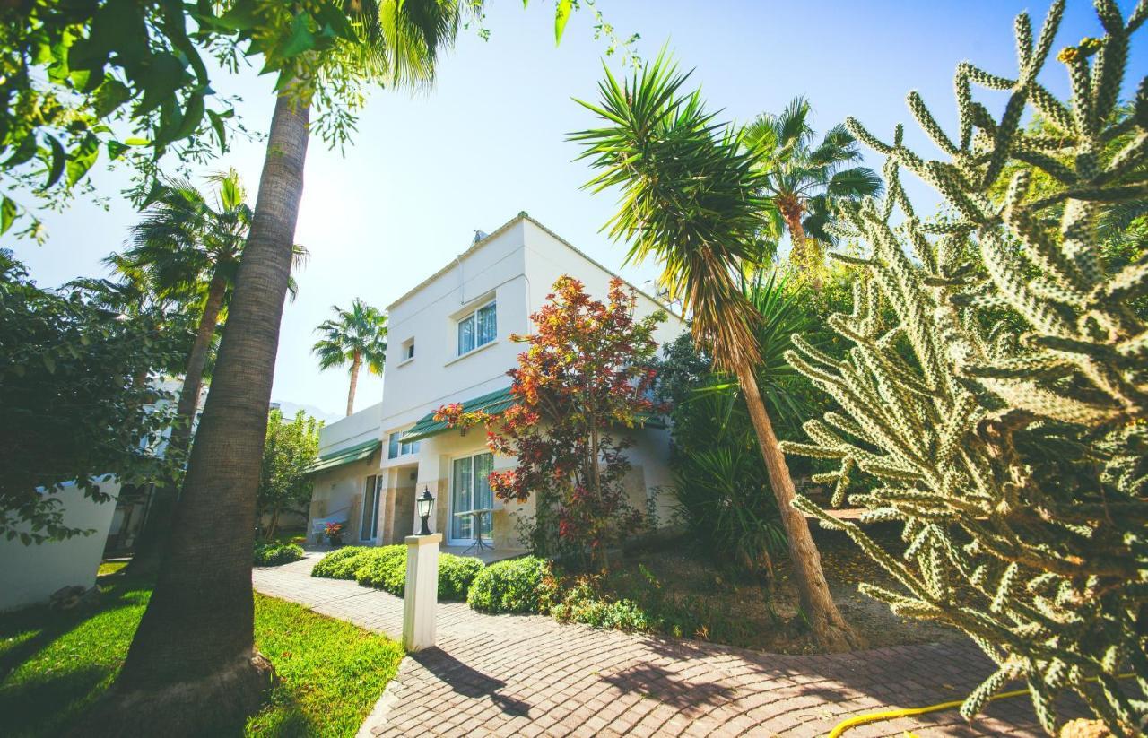 Hotel Pine Bay Club (Adults Only) Karavas  エクステリア 写真