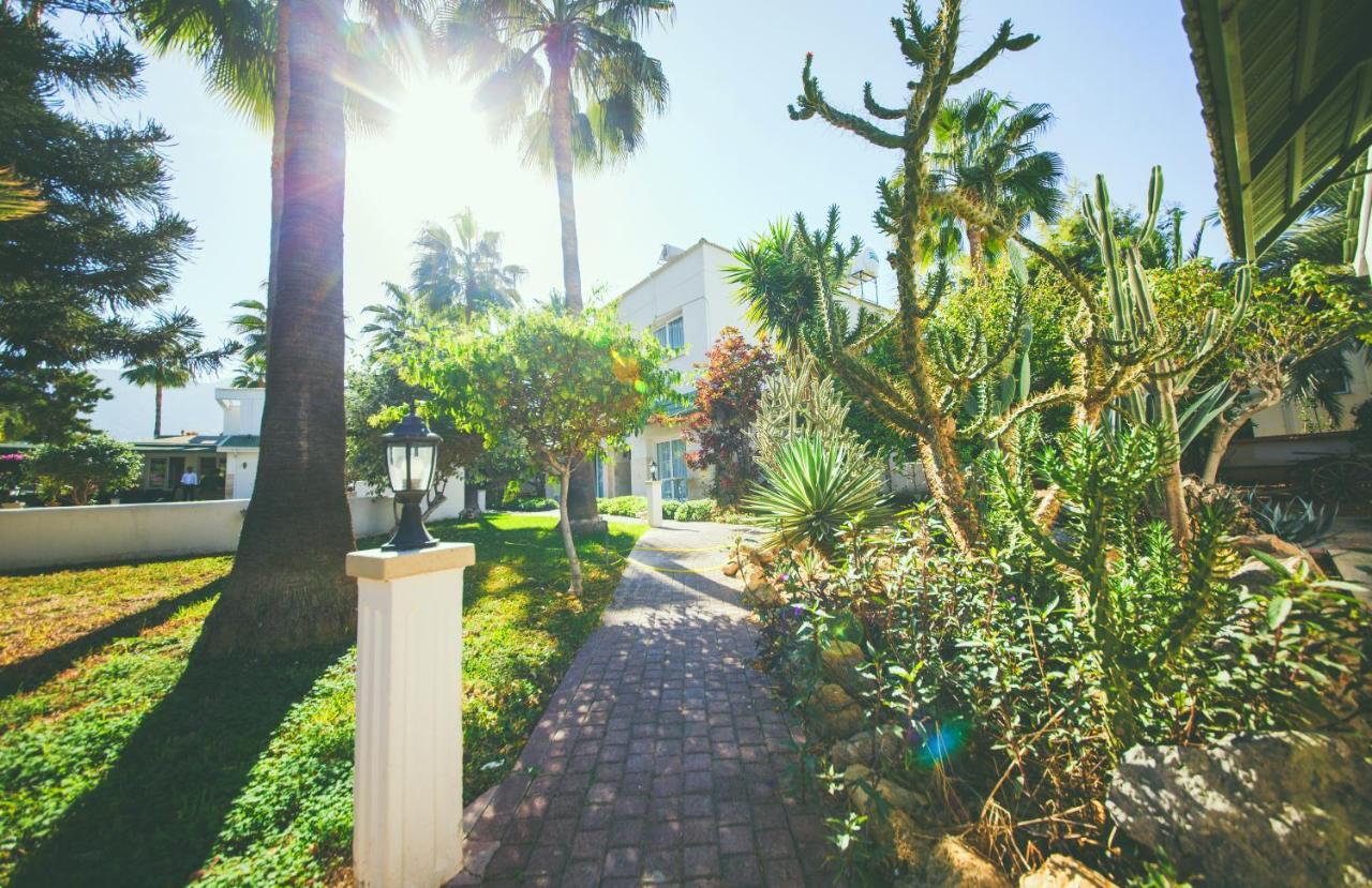 Hotel Pine Bay Club (Adults Only) Karavas  エクステリア 写真